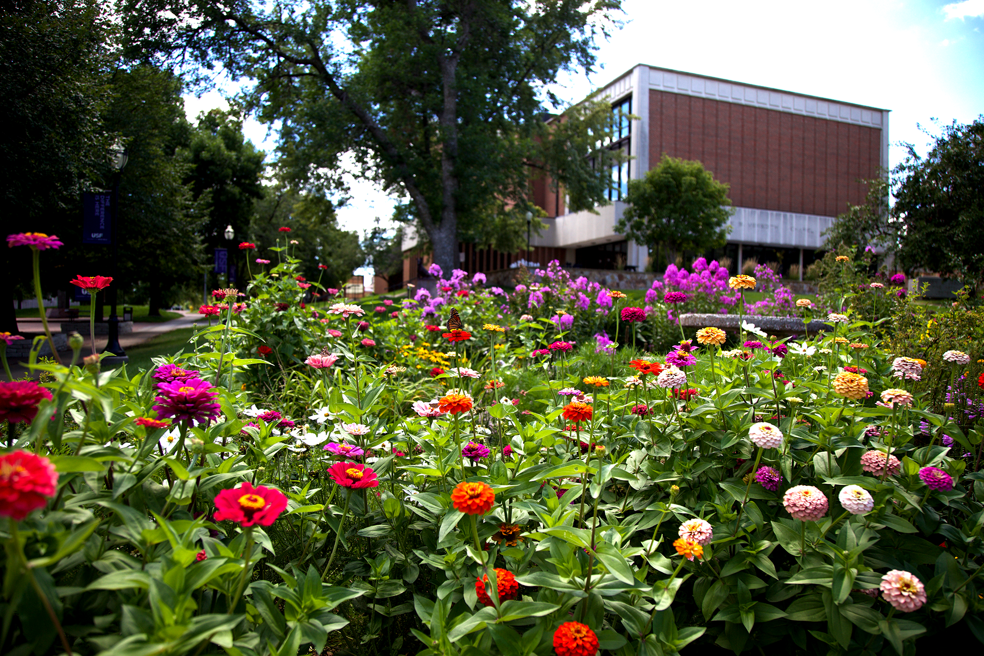 A vibrant garden filled with a variety of colorful flowers is in the foreground. In the background, there is a modern brick building partially obscured by leafy green trees. The sky is blue with scattered clouds, adding to the scenic and tranquil atmosphere.