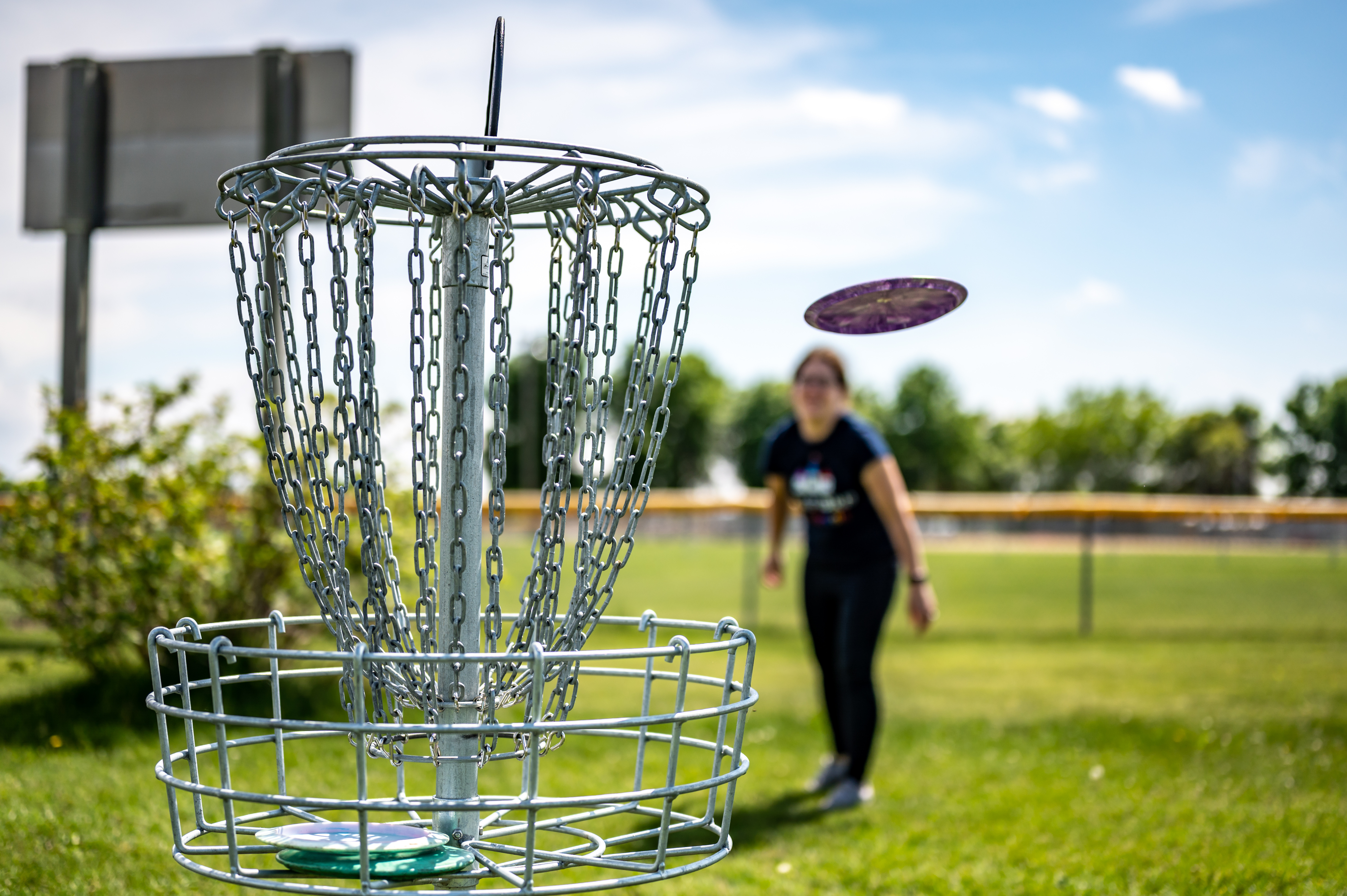 A person in the background throws a frisbee towards a metal chain basket in a disc golf course. The scene is set in a grassy field with a bright blue sky. The focus is on the basket in the foreground, with the frisbee captured in mid-air.